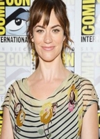 Maggie Siff's Image
